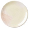 Pfaltzgraff Blush Colors Salad Plate