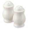 Pfaltzgraff Filigree Salt and Pepper Set