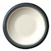 Pfaltzgraff Ocean Breeze Luncheon Plate