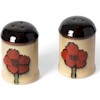 Pfaltzgraff Painted Poppies Salt and Pepper Set