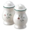 Pfaltzgraff Winterberry Salt and Pepper Set
