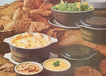Terra by Pyrex