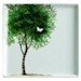 Arboretum by Rosanna