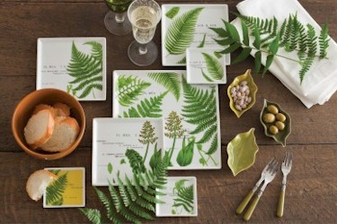 L'Orangerie by Rosanna