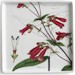 Les Fleur En Rouge by Rosanna