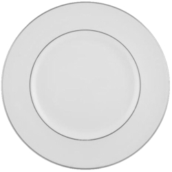 Langdale Platinum by Royal Doulton