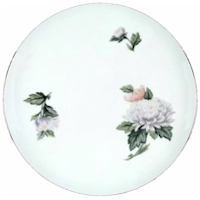 Chrysanthemum by Sango
