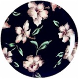 Hawaiian Dream by Sango