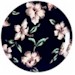 Sango Hawaiian Dream