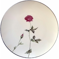 Tea Rose by Sango