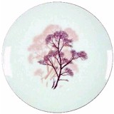 Trees by Sango