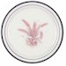 Sango Winter Wheat