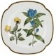 Spode Burgess Botanicals