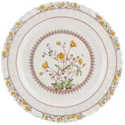 Buttercup by Spode