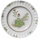 Spode Rosalie