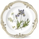 Spode Stafford Flowers