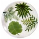 Tabletops Lifestyles Tropical Leaves