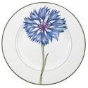 Villeroy & Boch Flora Cornflower Dinner Plate