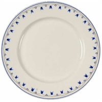 Discontinued Villeroy & Boch Salzburg Dinnerware
